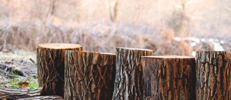 202102081486.jpg 未標(biāo)題-13.jpg