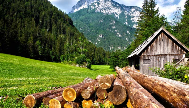 202102081562.jpg 1569398588114214.jpg